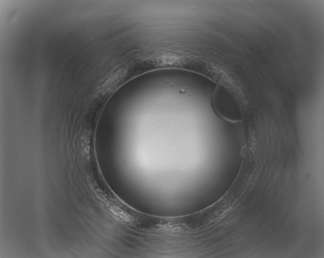 X0000052940545200507151646