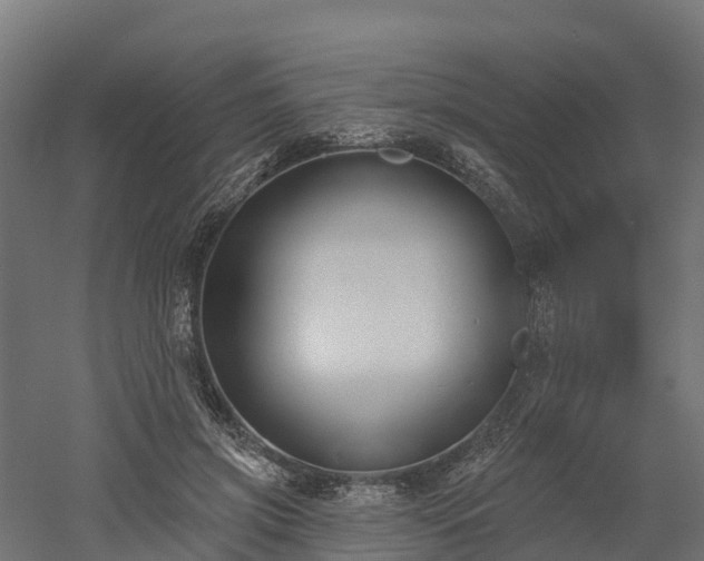 X0000052940549200507151646