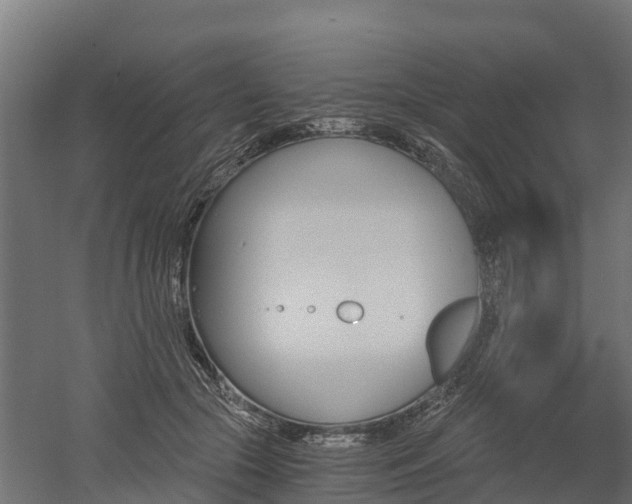 X0000052940553200507151646