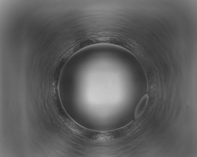 X0000052940555200507151646