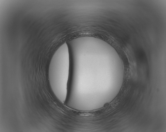 X0000052940557200507151646