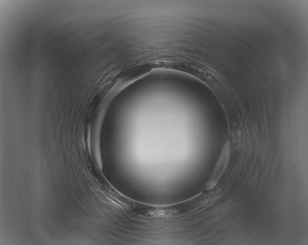 X0000052940558200507151646