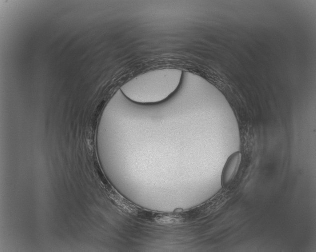 X0000052940561200507151646