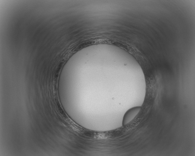 X0000052940565200507151646