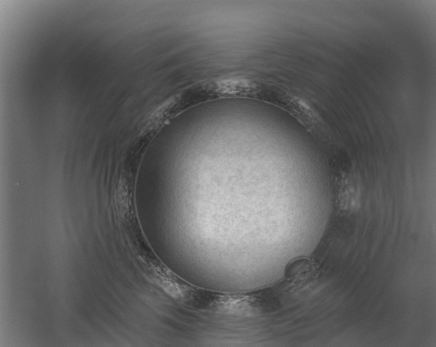 X0000052940569200507151646