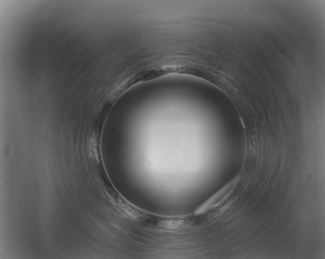 X0000052940575200507151646