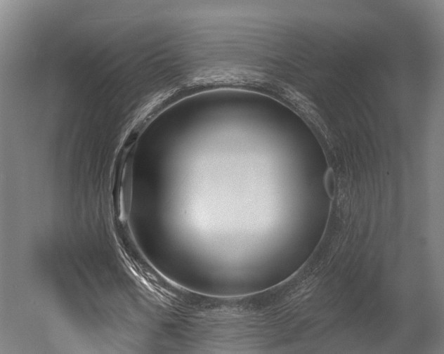 X0000052940578200507151645