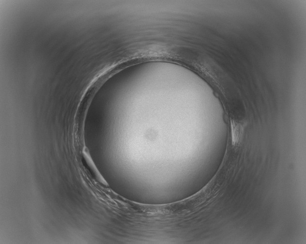 X0000052940579200507151645