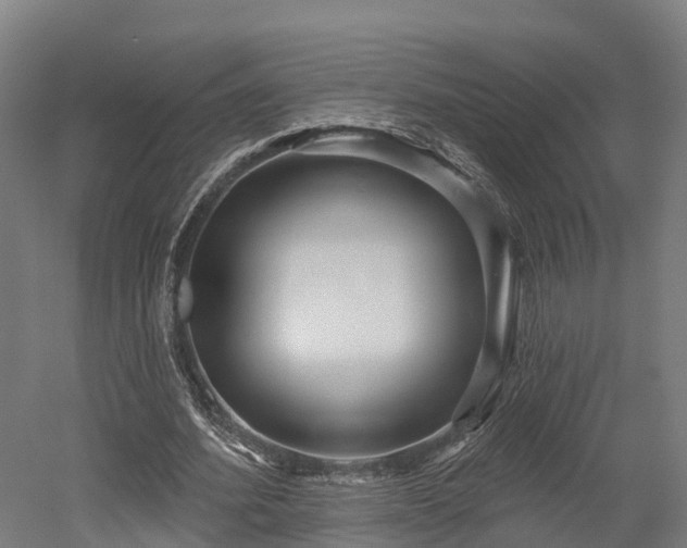 X0000052940580200507151645