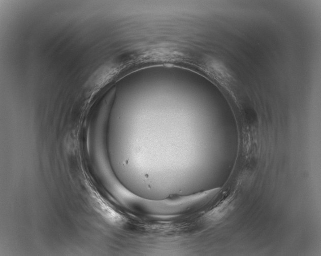 X0000052940581200507151645