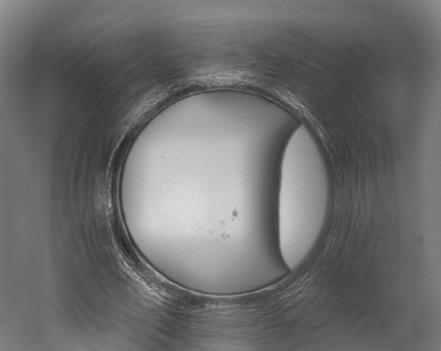 X0000052940582200507151645