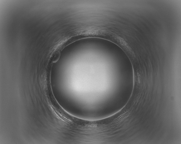 X0000052940588200507151645