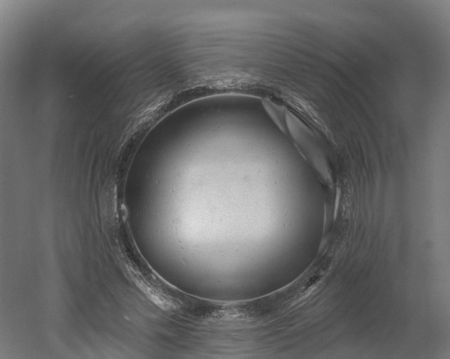 X0000052940589200507151645