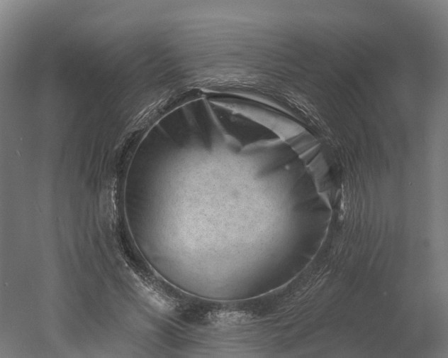 X0000052940590200507151645