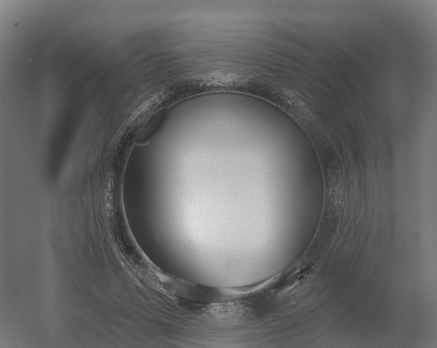 X0000052940591200507151645