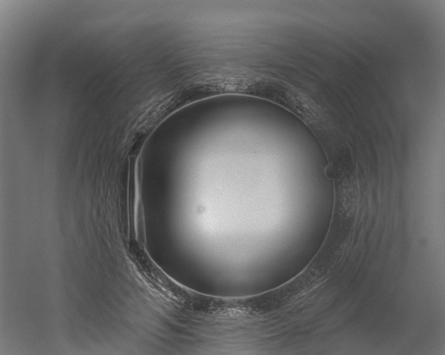 X0000052940594200507151645