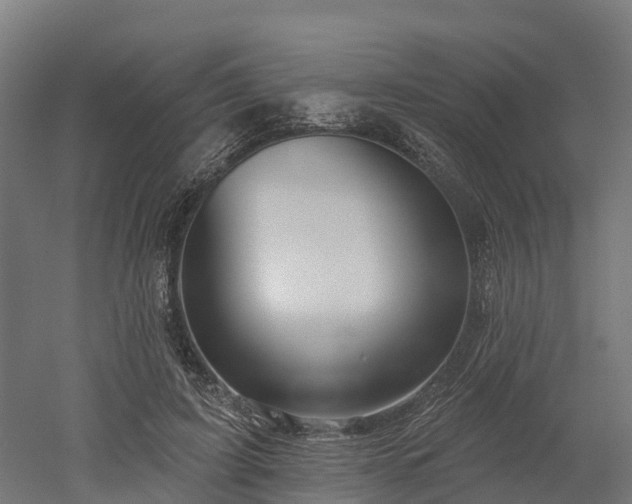 X0000052940595200507151645