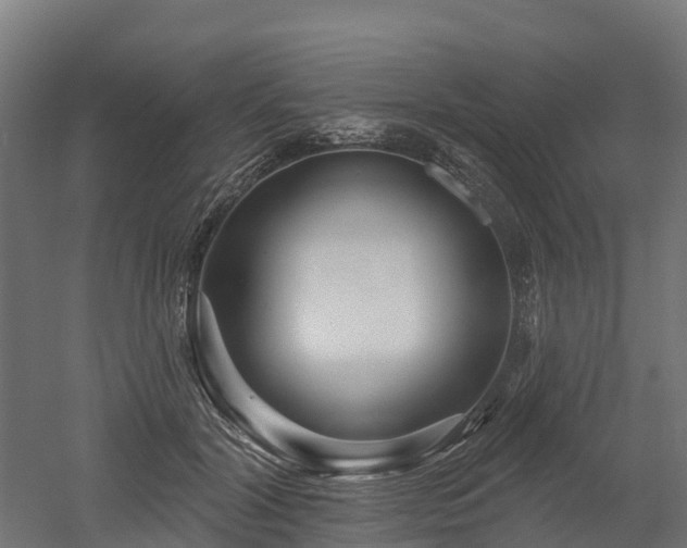 X0000052940604200507151645