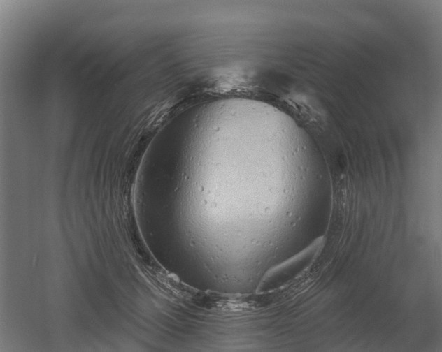 X0000052940607200507151645