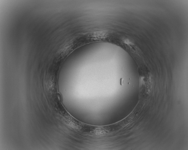 X0000052940608200507151645