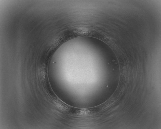 X0000052940612200507151645