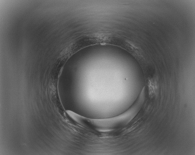 X0000052940613200507151645