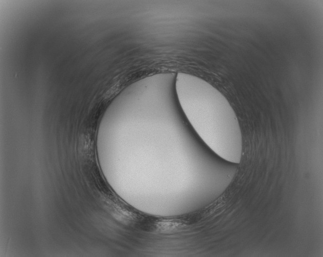 X0000052940614200507151645