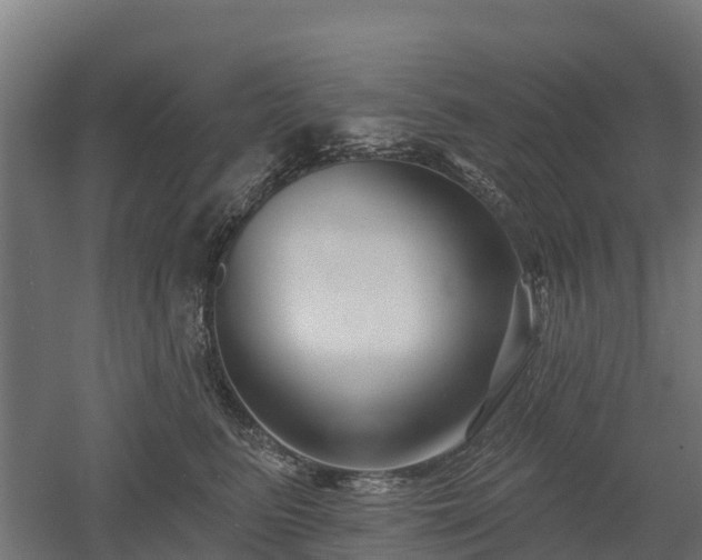 X0000052940615200507151645