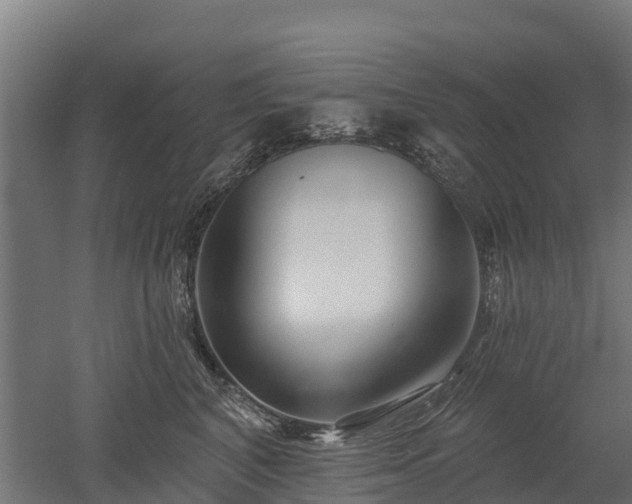 X0000052940616200507151645