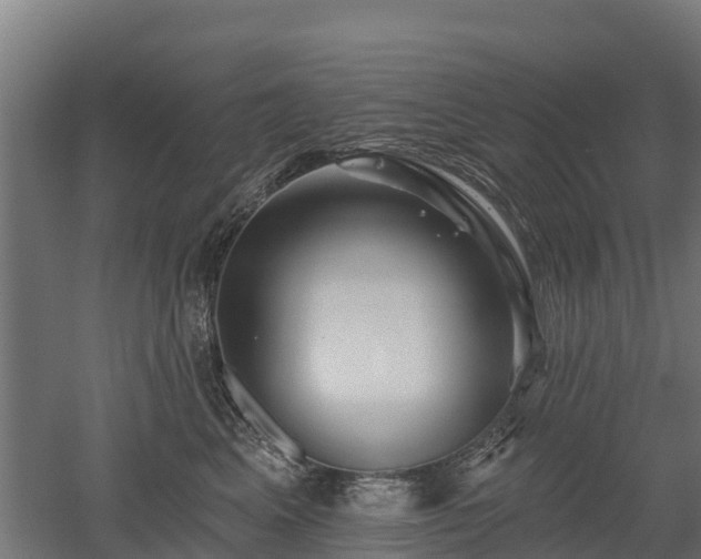 X0000052940617200507151645