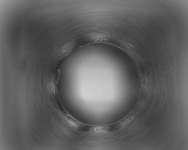 X0000052940622200507151645