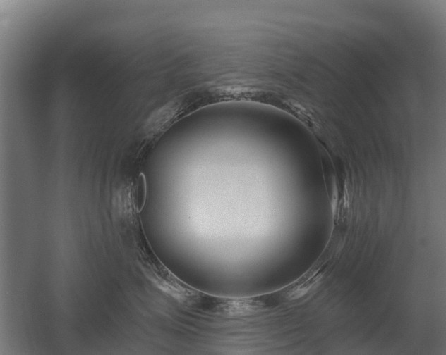 X0000052940623200507151645