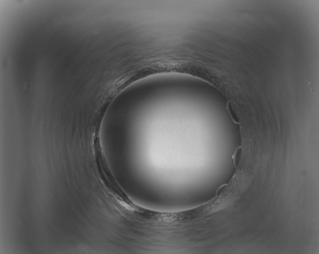 X0000052940624200507151644