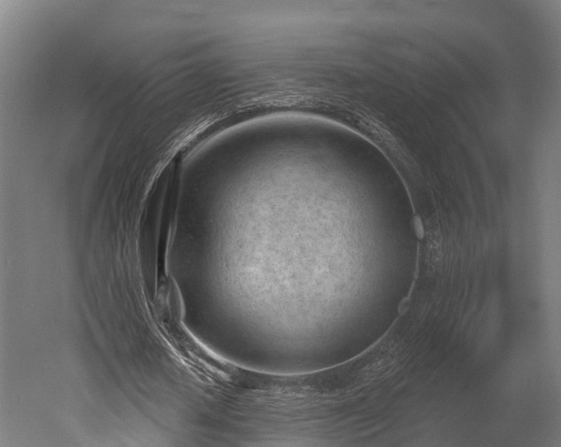 X0000052940626200507151644