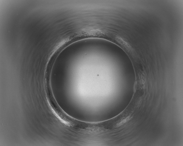 X0000052940630200507151644