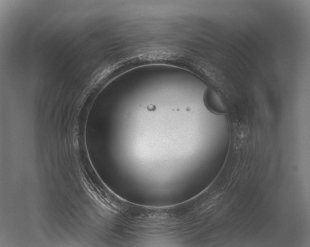 X0000052940631200507151644