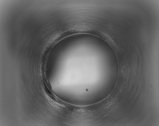 X0000052940635200507151644