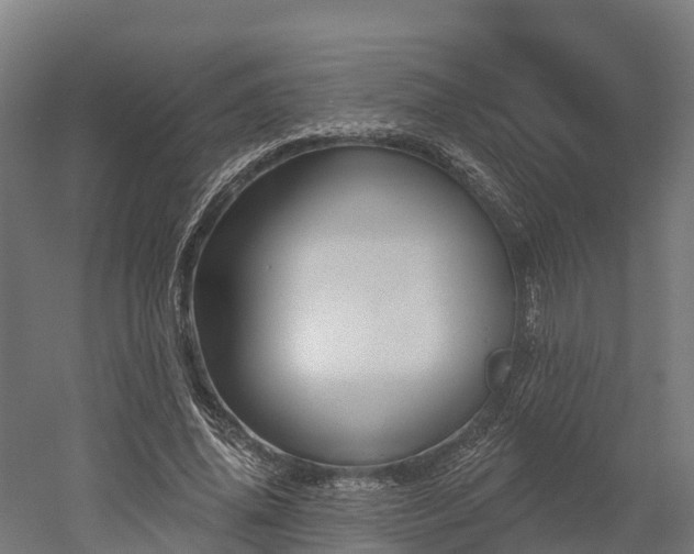 X0000052940636200507151644