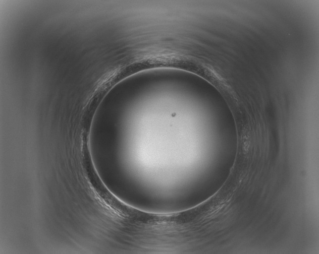 X0000052940637200507151644