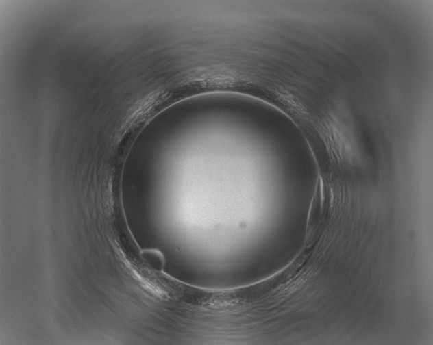 X0000052940638200507151644