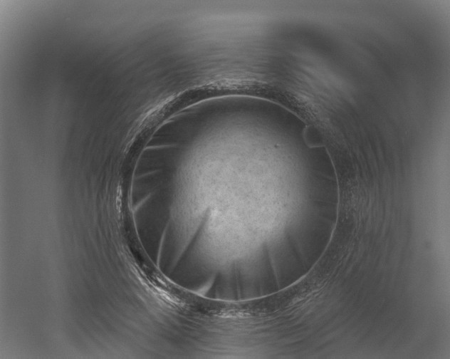 X0000052940640200507151644