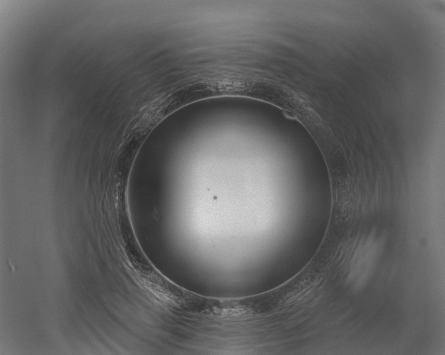 X0000052940645200507151644