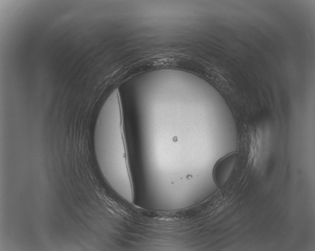 X0000052940649200507151644