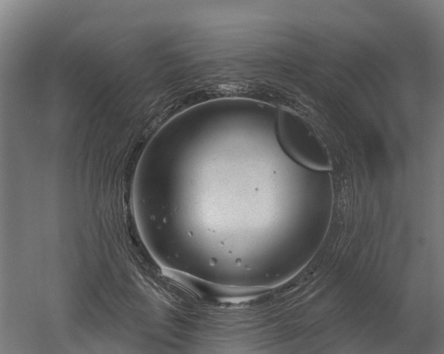 X0000052940651200507151644