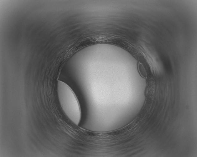 X0000052940653200507151644