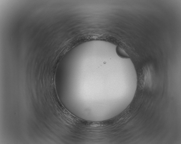 X0000052940657200507151644