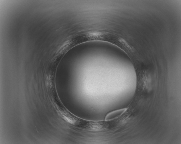 X0000052940658200507151644