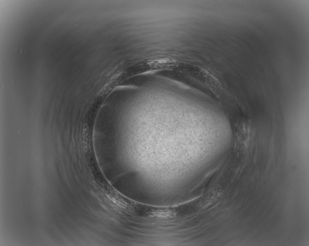 X0000052940659200507151644