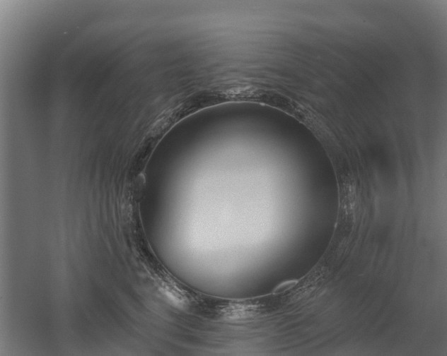 X0000052940664200507151644