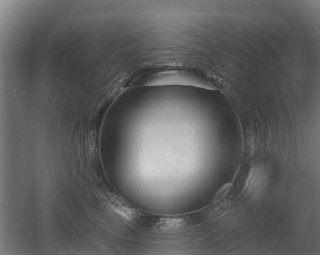 X0000052940665200507151644